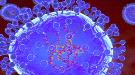 قلق عالمي من عودة «فيروس خطير» في الربيع...
