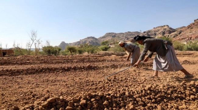 مبادرة أممية طموحة لتطوير سبل عيش اليمنيين