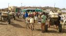25 مليون سوداني يواجهون انعدام الأمن الغذائي...